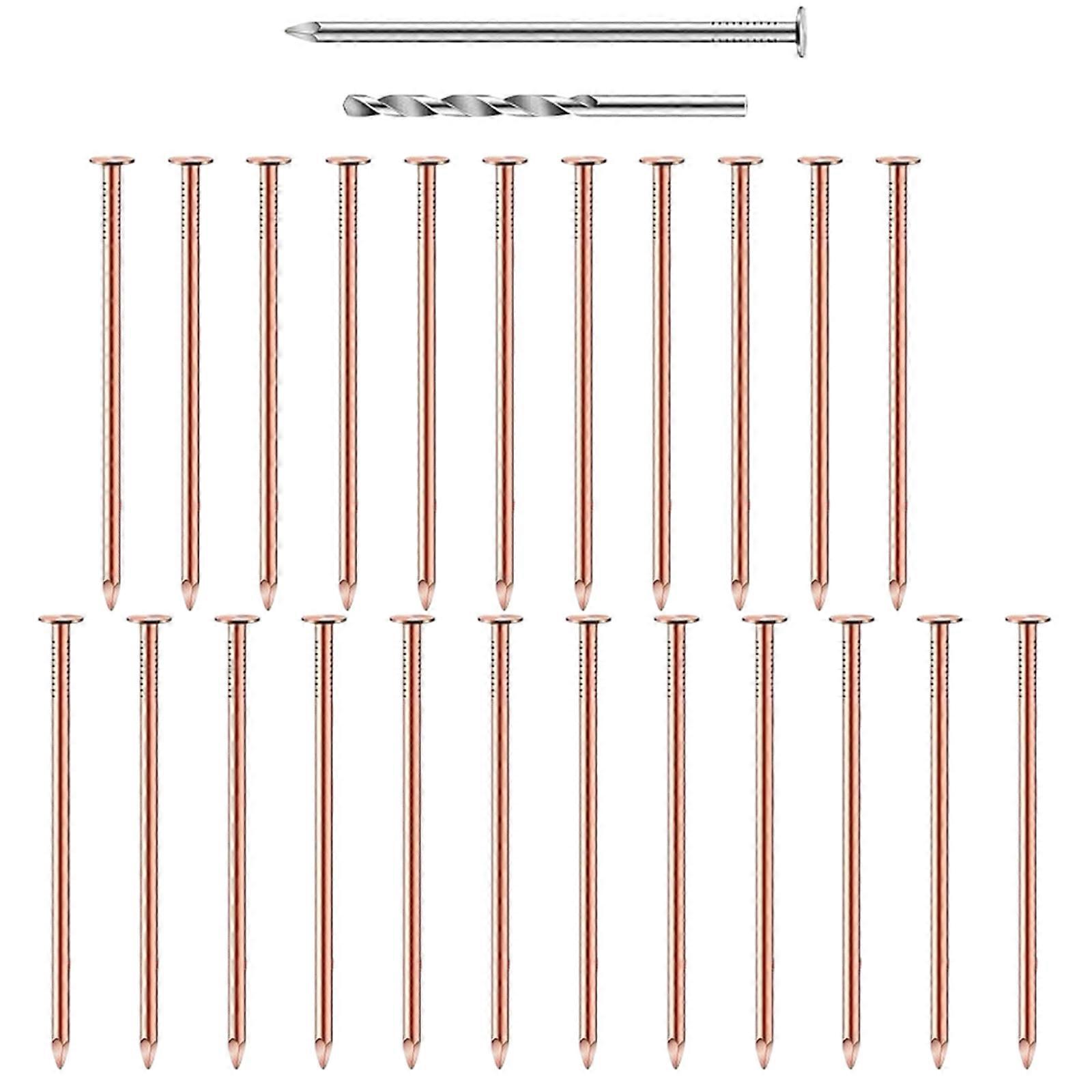 25Pcs Copper Nails Tree Stump Killers Bulk Stump Removal Spikes Hardware Nails for Killing Trees Removing Stumps Multicolor