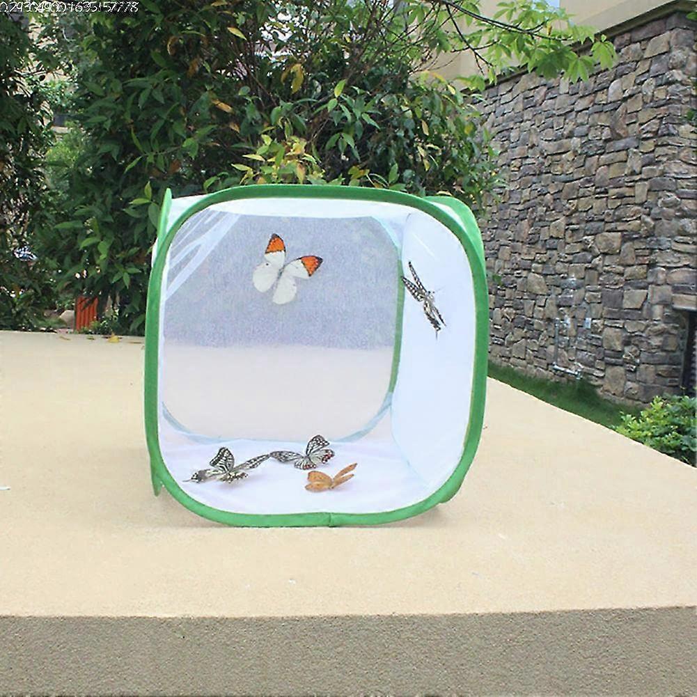 Mesh Butterfly Habitat Cage with Foldable Mesh Net for Garden Insect Rearing and Seedling Incubator