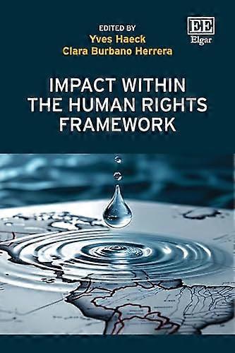 Impact within the Human Rights Framework