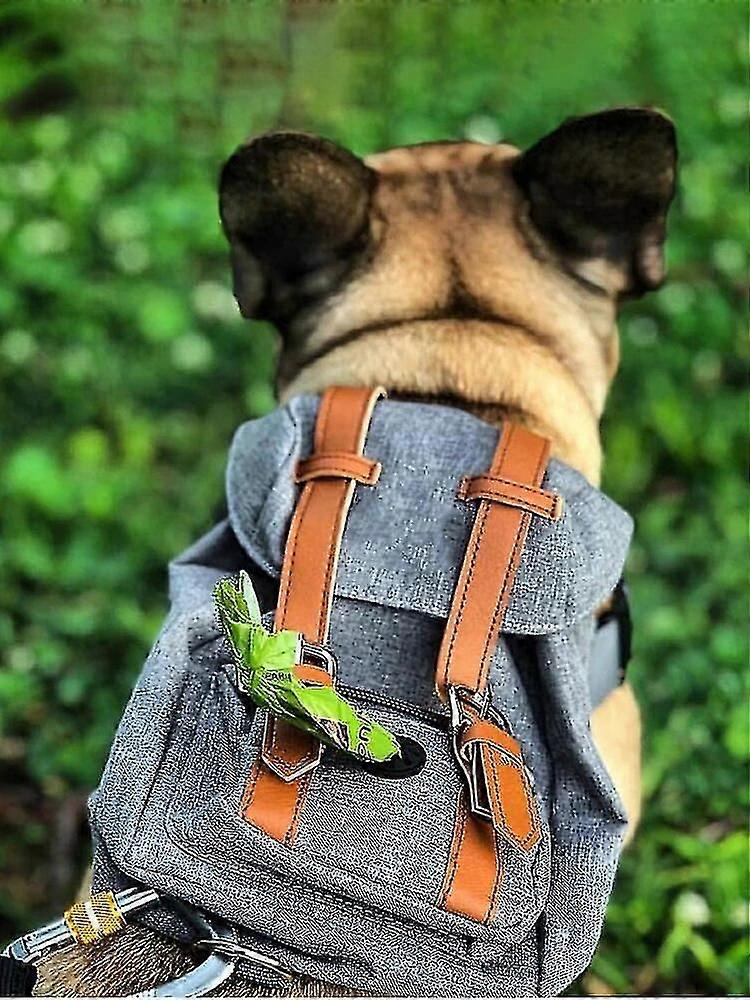 Dog Backpack Link For Vip Luke