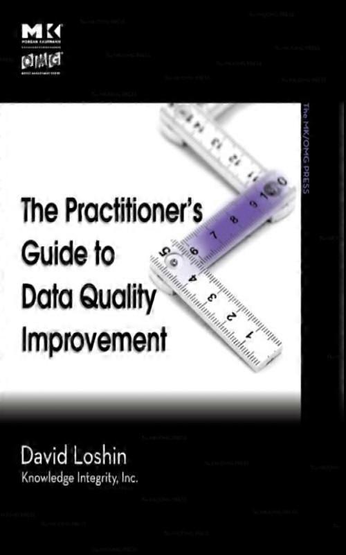 The Practitioners Guide To Data Quality Improvement