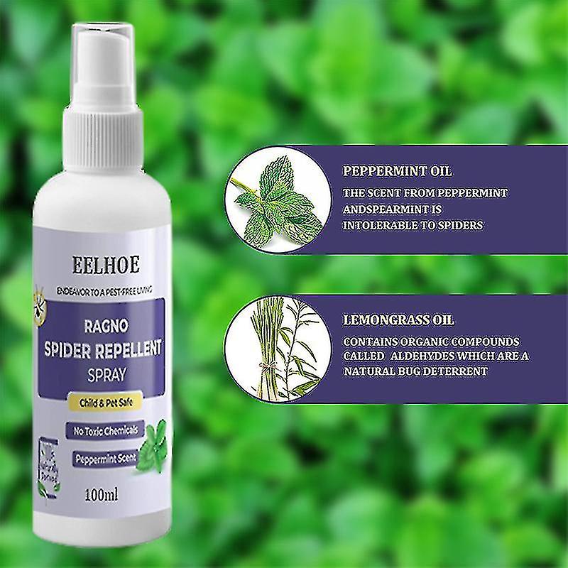 Spider Repellent Spray Long Lasting Effective Spider Control Repels