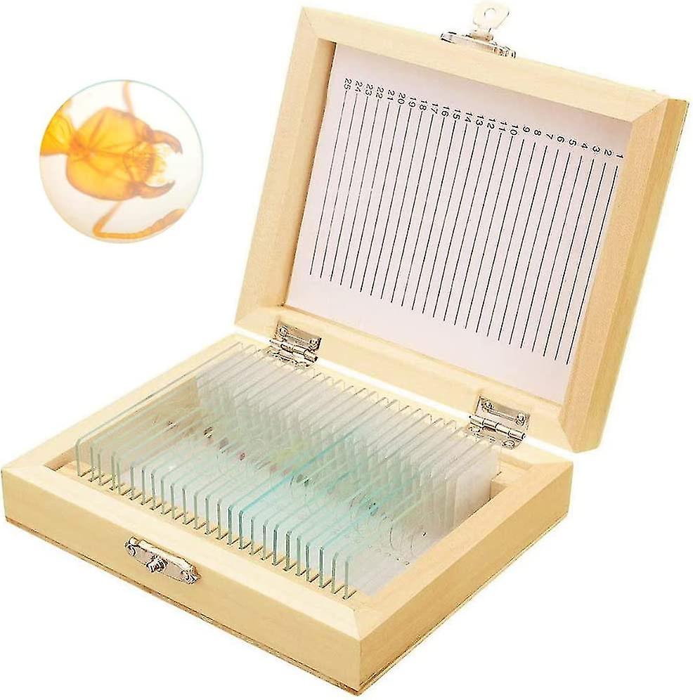Prepared Microscope Slides With Specimens For Kids, 25 Sample Microscopes Science Kit, With Fitted Wooden Kit For Basic Biological Education-hao
