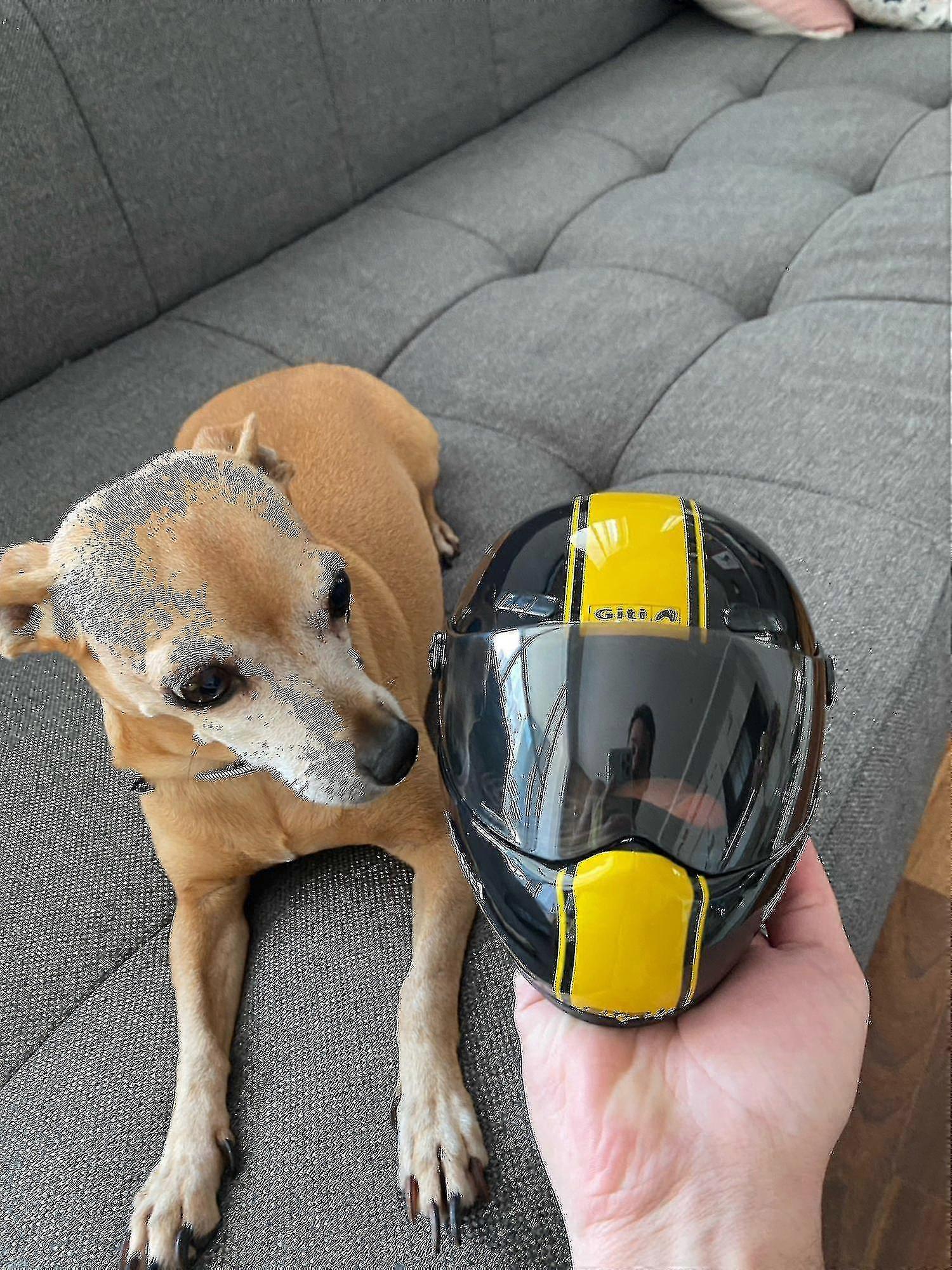 Pet Mini Motorcycle   Props Pet Cap Protects Pet Supplies A Code_a