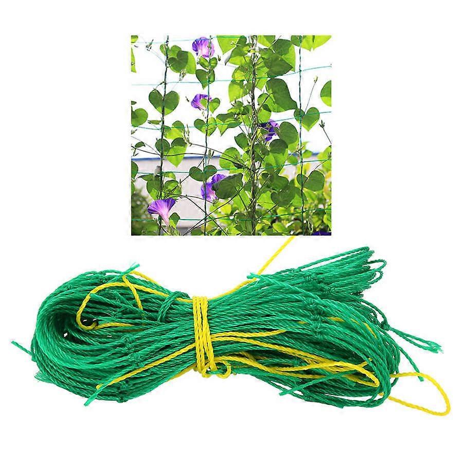 Garden Plants Climbing Net Plastic Nylon Net Morning Glory Flower Vine Netting Support Net Grow Net Holder Garden Netting