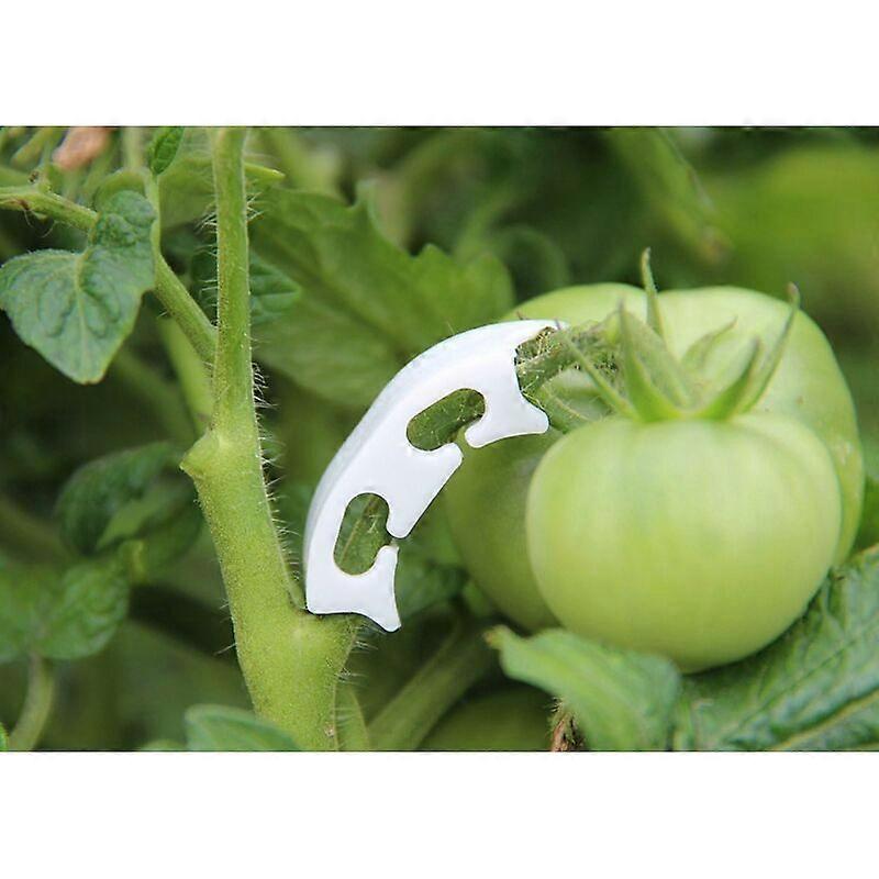 100 Pack Angled Tomato Pliers to Prevent Plant Stems from Bending