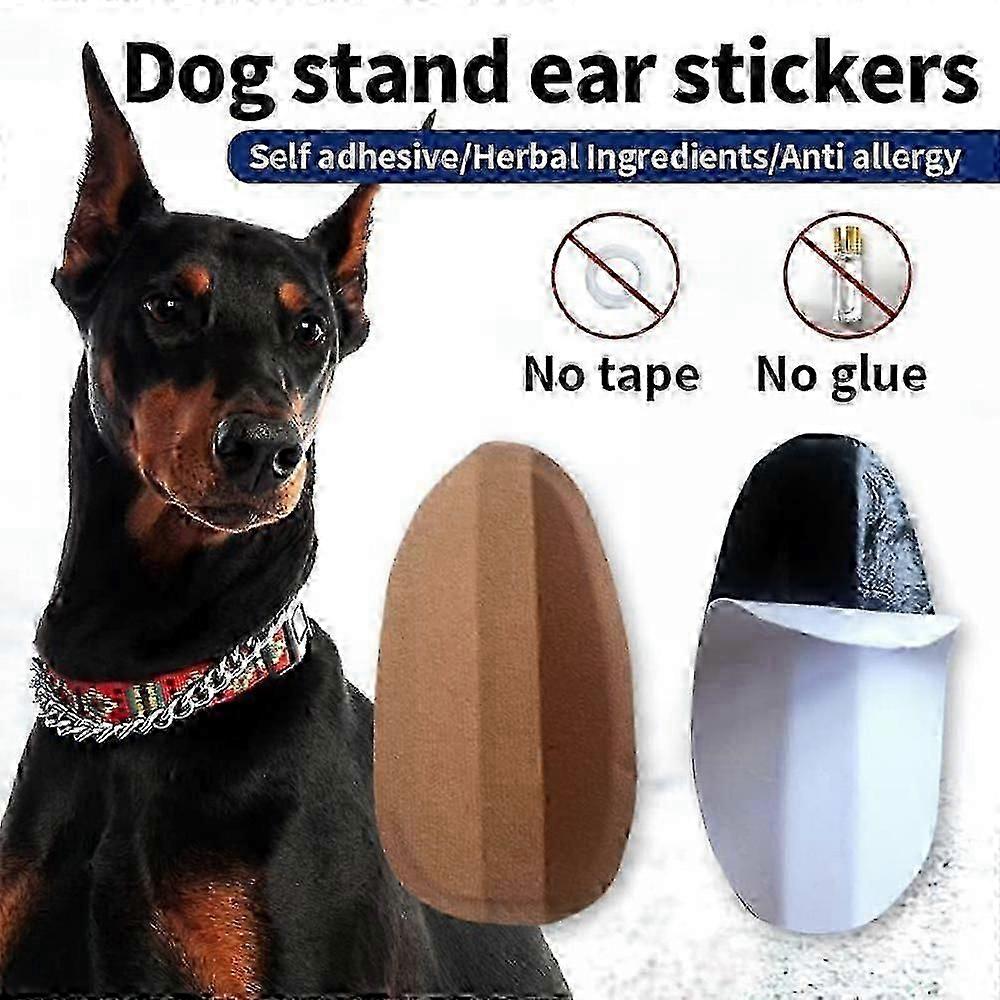 2 قطعة الأذن الوقوف ملصق حتى أداة الدعم ، حامل عمودي للتصحيح الثابت لأذن لدوبيرمان. 7 * 3.5 سم