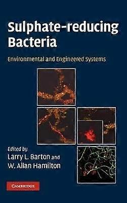 Sulphate-Reducing Bacteria