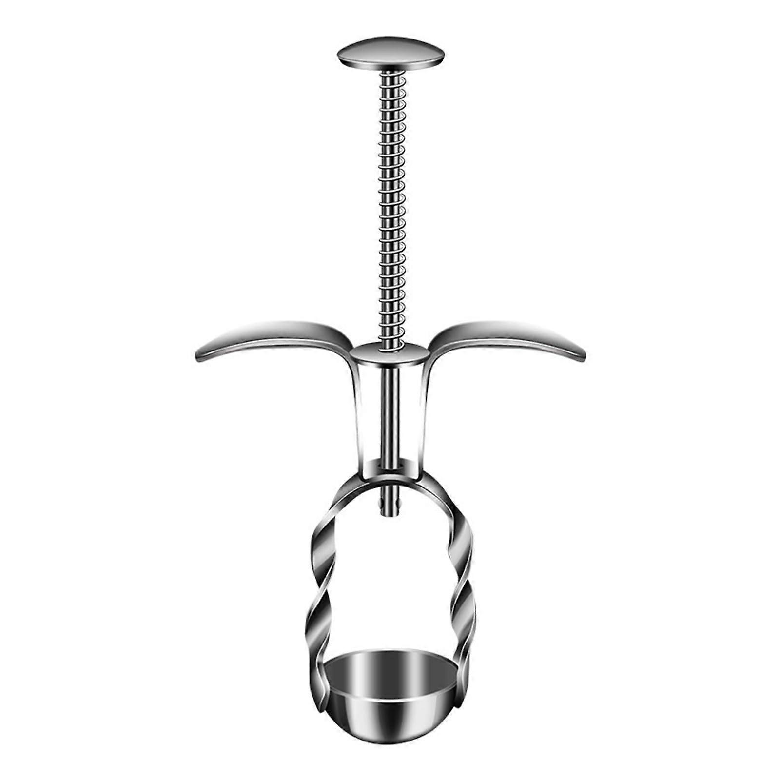 Stainless Steel Cherry Pitter Tool with Easy Seed Removal and Rust Resistant Fruit Corer