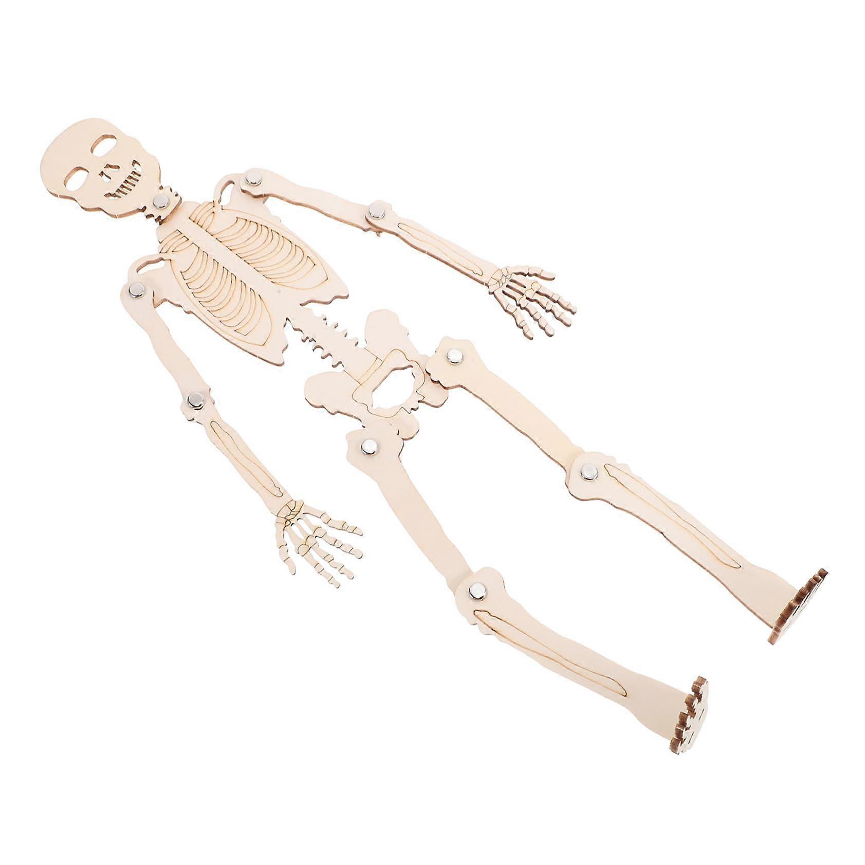 Wooden Human Skeleton Model Kit for HandsOn Anatomy Learning, DIY Educational Assembly Set