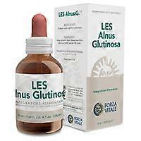 Les alnus glutinosa circulation 50 ml