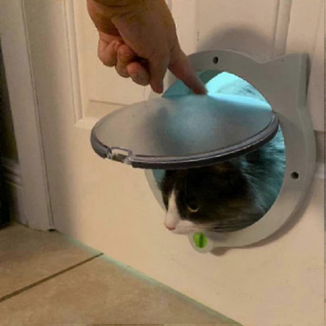 ABS 4Way Lock Pet Entry Flap