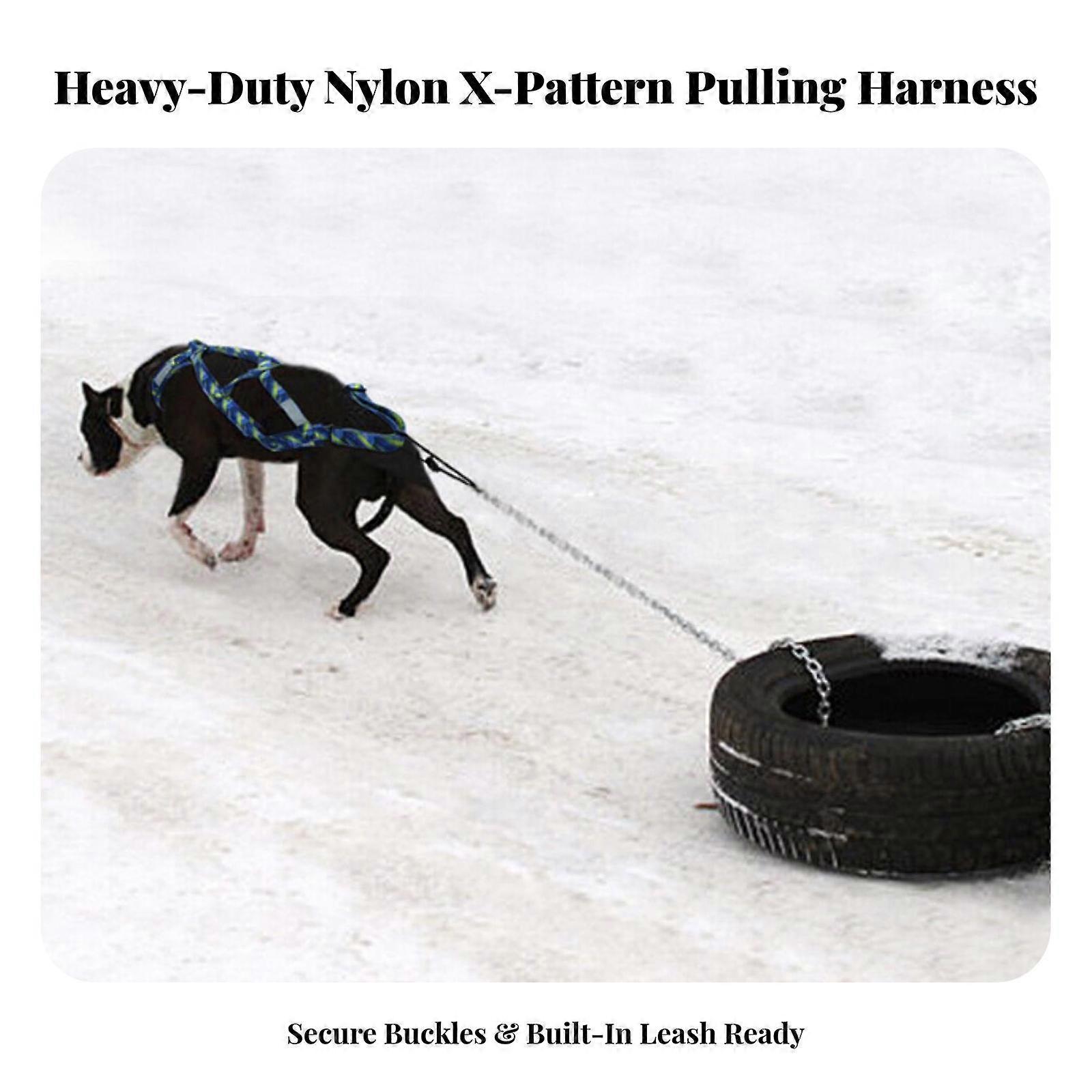 Tear-Resistant Dog Pulling Harness | Nylon strapping, Adjustable Straps and