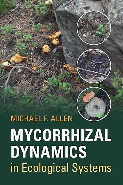 Mycorrhizal Dynamics In Ecological Systems by Michael F. Allen Paperback