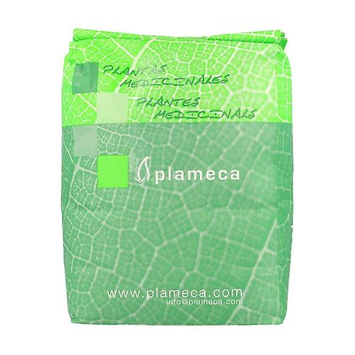 Whole Green Tea 1 kg