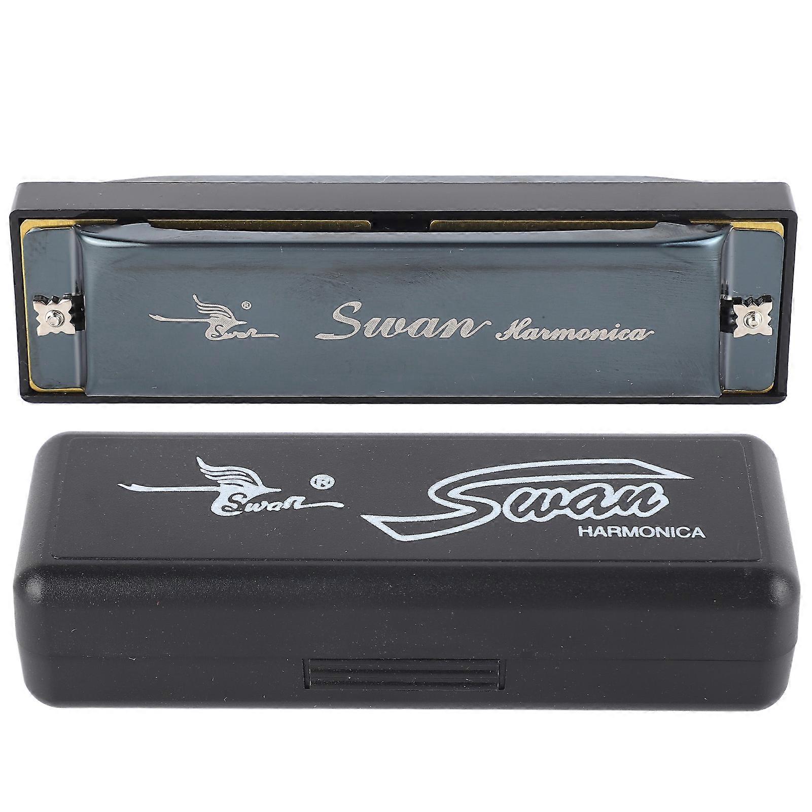 Blues Harmonica C Key 10 Holes Diatonic Mouthorgan Wind Instrument for Beginners Black