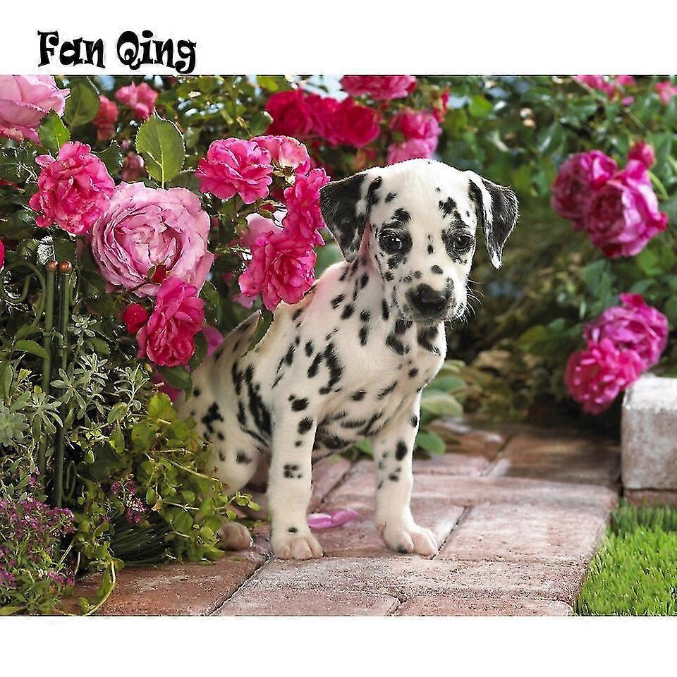 Timanttimaalaus Kukat ja dalmatialainen käsityö DIY Täysi pora Timanttikirjonta Koiran setti Kodinkoriste