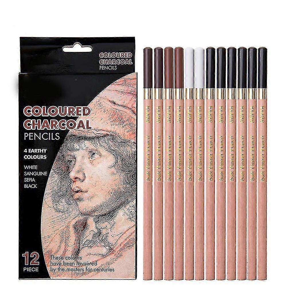 Sketch Drawing Pencils 12 Piece Professional Pencils Set Charcoal Pencils Shading Pencils For Adults