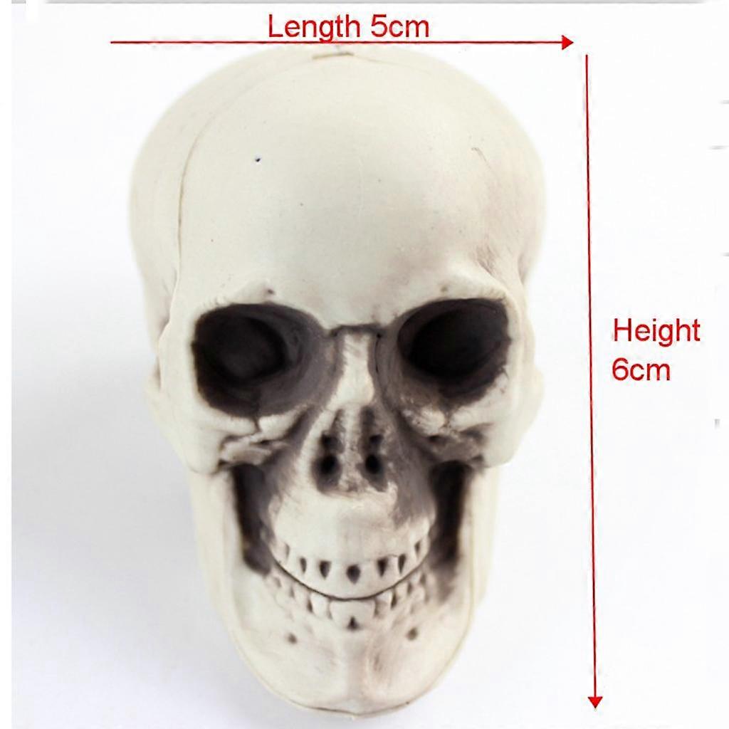 2x Plastic Skull Head Figurine Animal Skeleton Model Statue Halloween Decor - ., E