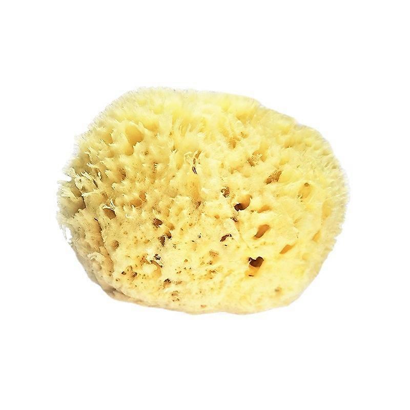 Sea Wool Sponge 0-5" (Large) - Natural Renewable Resource
