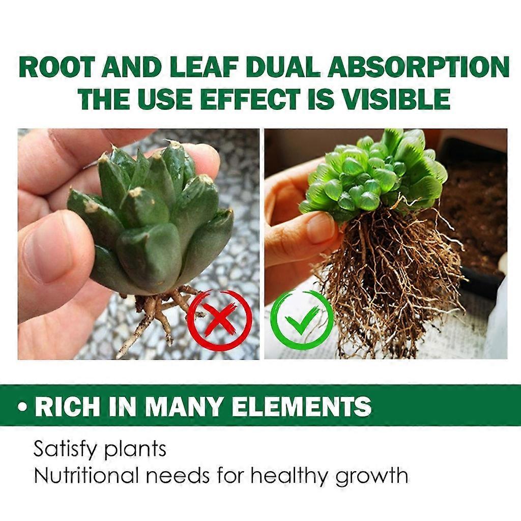 Buds Fertilizers For Succulent Bursting Element Promoting Growth Nutrient Liquid