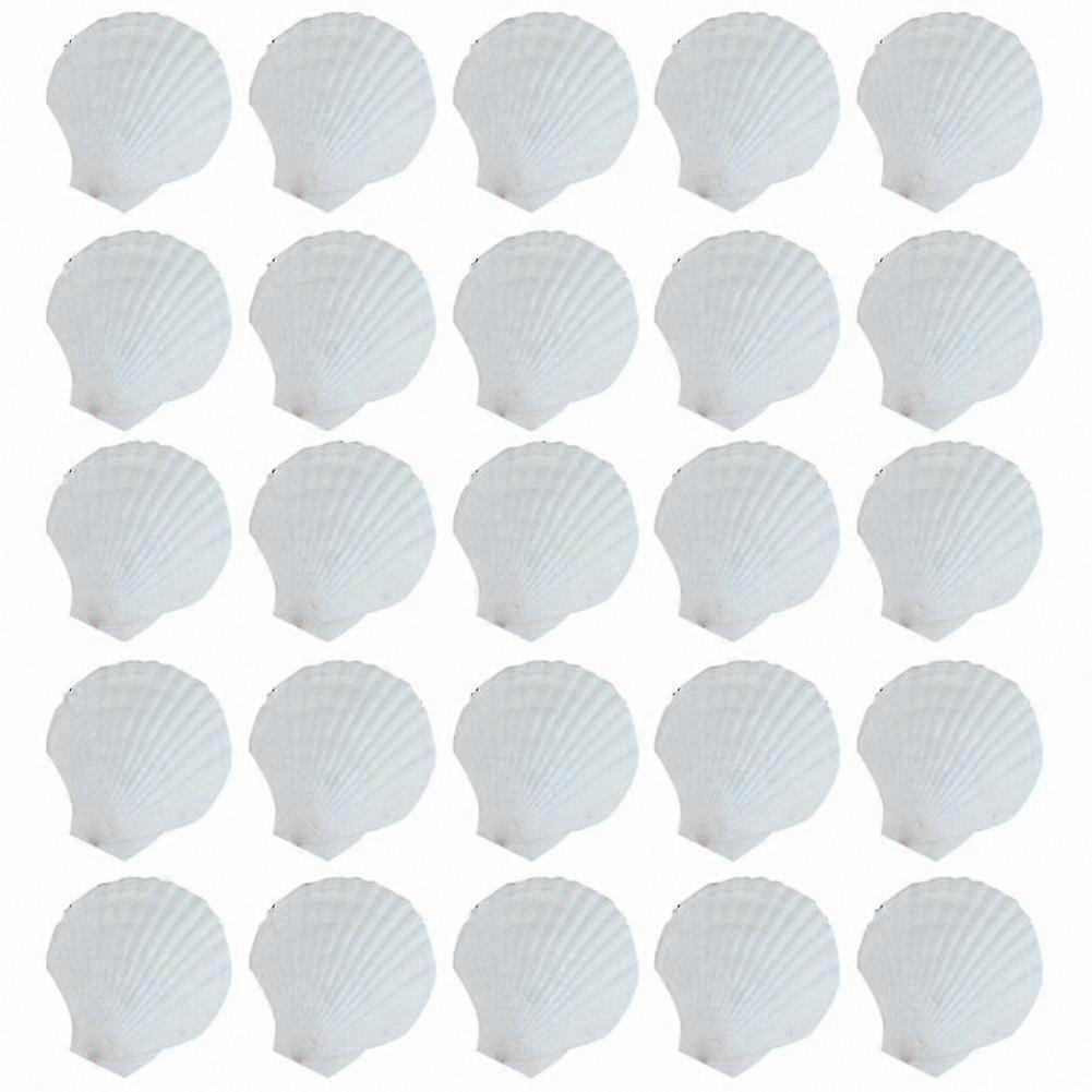 Natural Scallop Shells, 25 Pieces for DIY Crafting and Art Projects