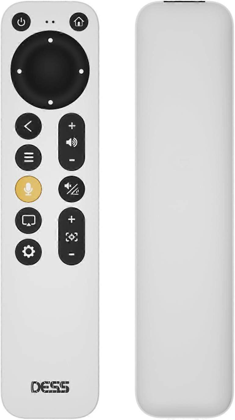 Projector Remote