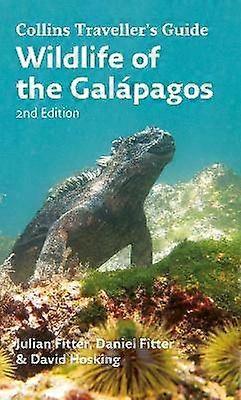 Wildlife of the Galapagos