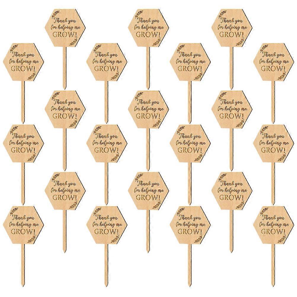 Plant Markers Wood Plant Tags for Gardening 200Pcs Landscape Garden Signs