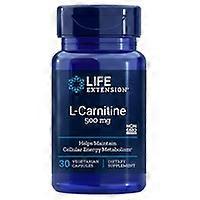 L-Carnitine 30 vegetable capsules