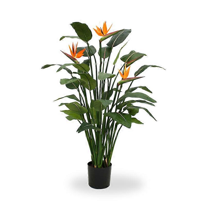 Strelitzia (145 cm)