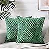 2 pack green coral decorative pillowcases 45*45cm