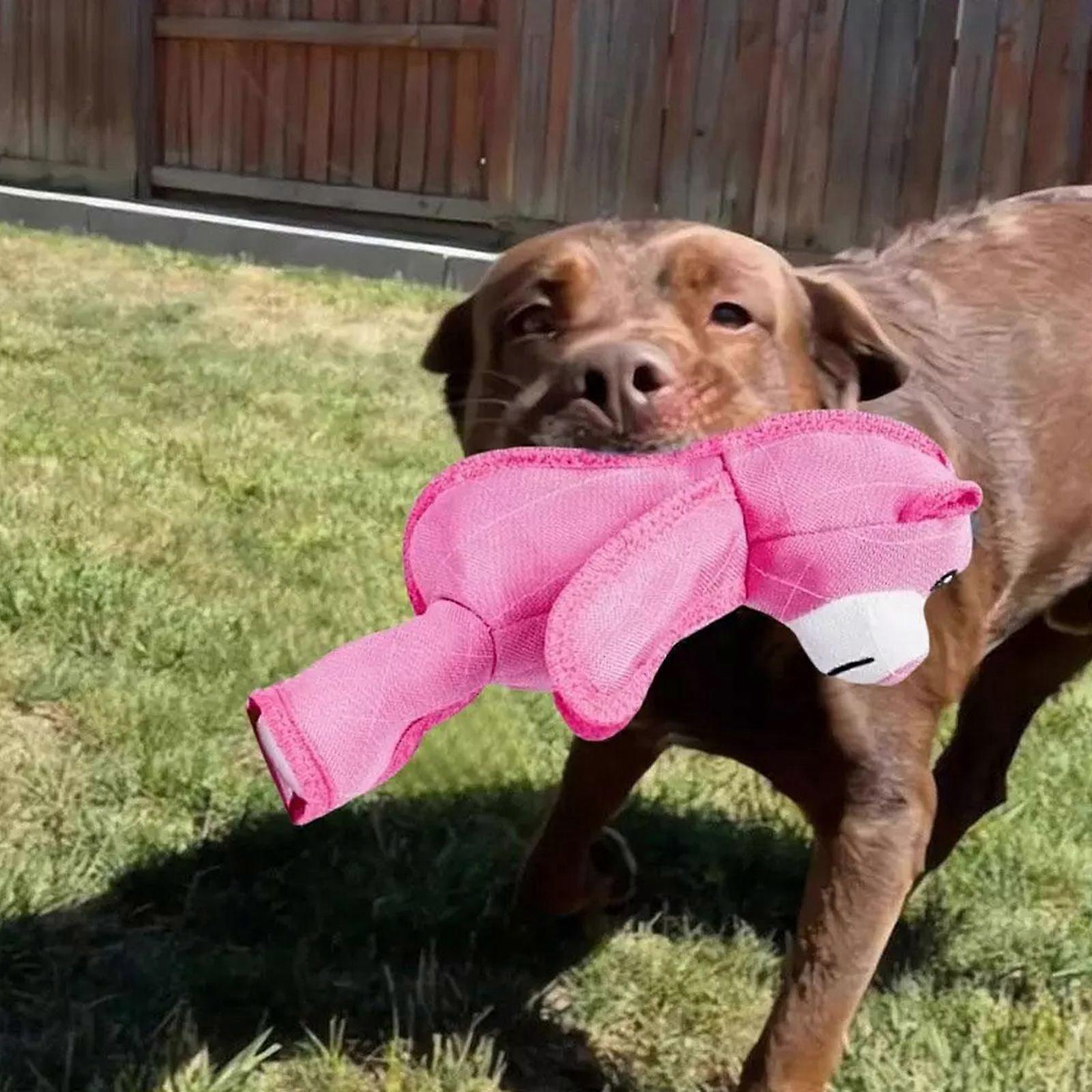 Mächtiger Bär Starker Bär Rosa