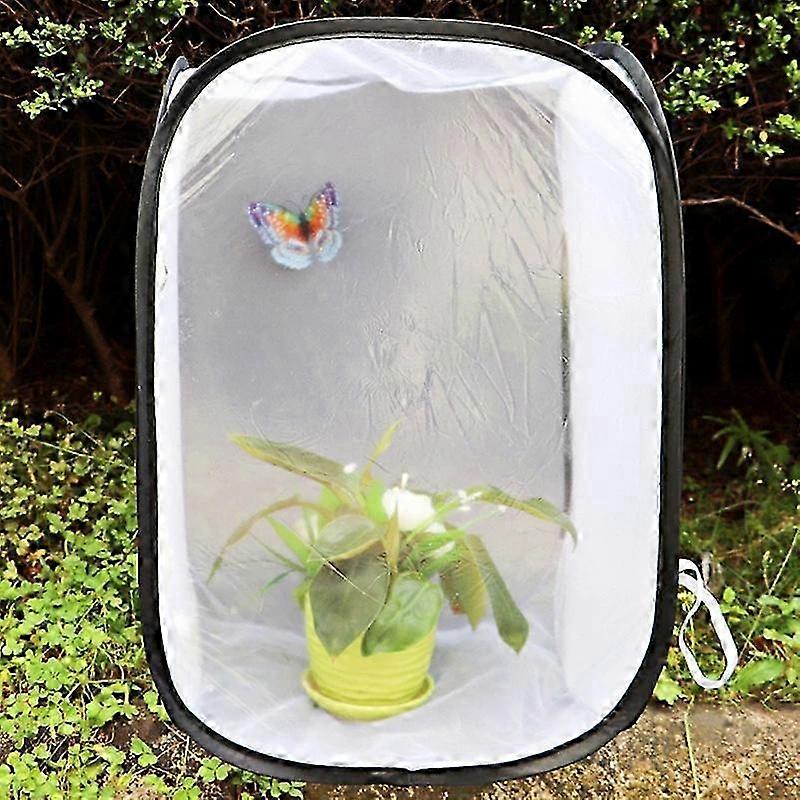Foldable Butterfly Observation Cage Insect Net Pet Insect Habitat Breeding Incubator Box HOT