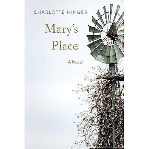Mary's Place : a Novel