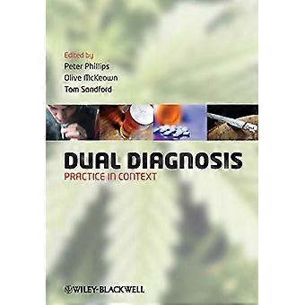 Dual Diagnosis Practice in Context