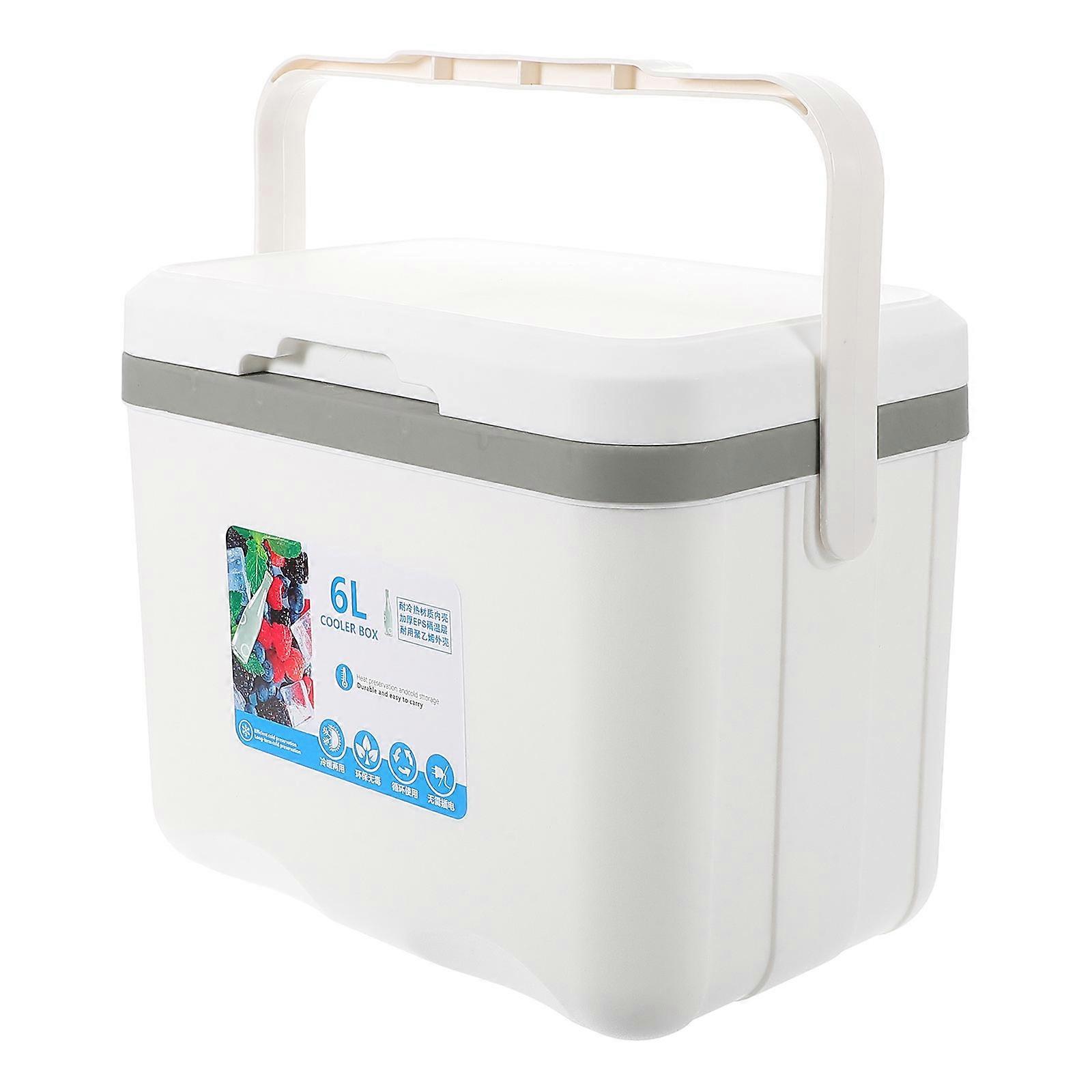 Picnic Food Box Cooler Box for Daily Use 6L Insulated Handle Cooler