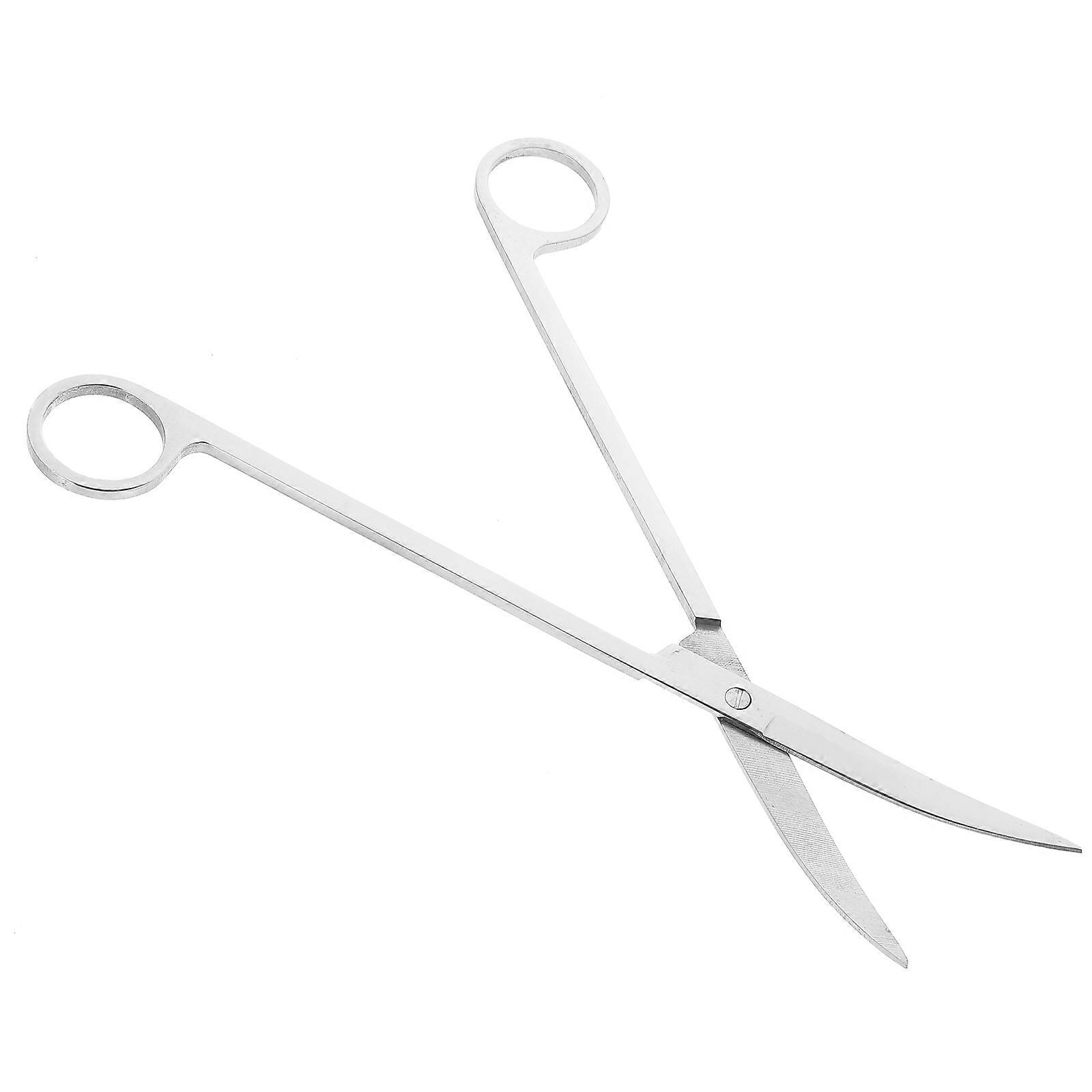 Curved Tip Scissors Stainless Steel Aquarium Use 25 Cm Scissors Tools
