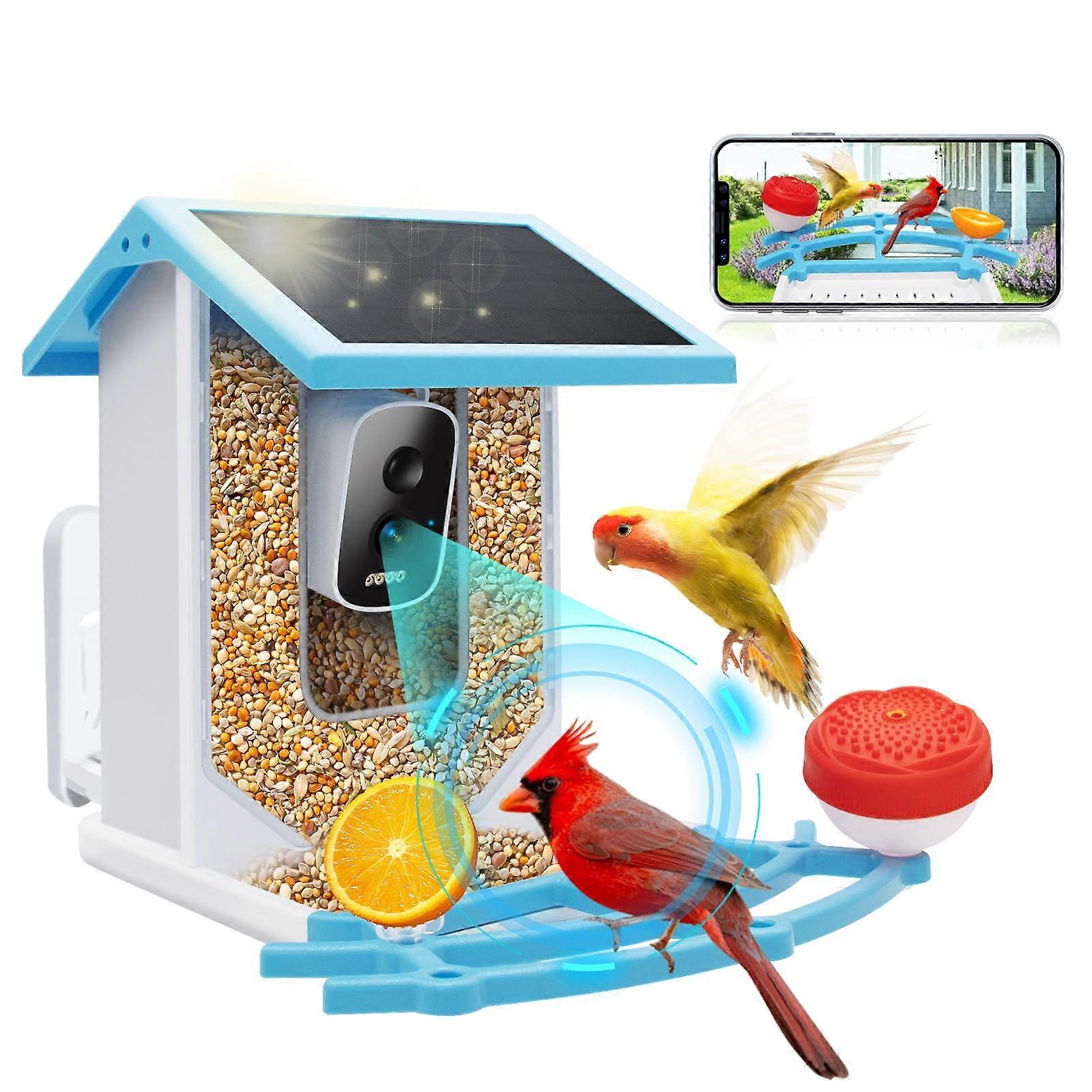 Smart Bird Feeder with Camera 4K HD AI Species Identification Solar Powered Night Vision