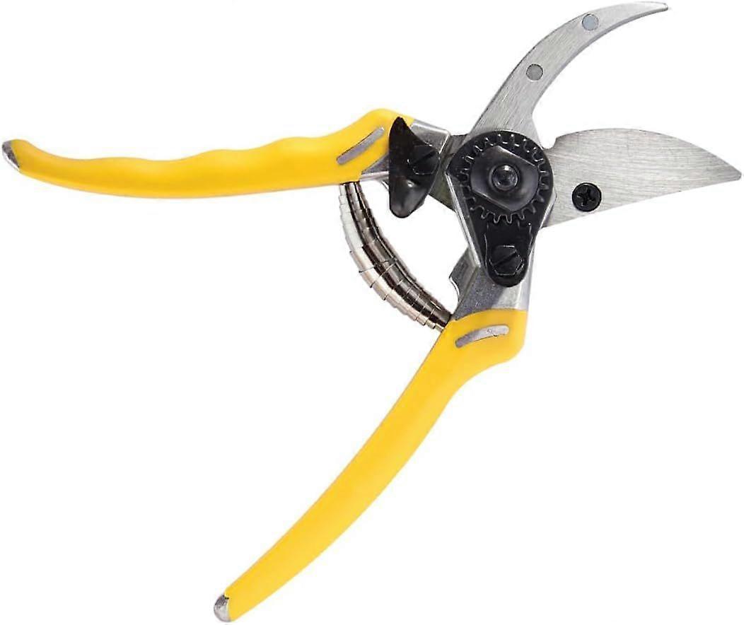 Snoeischaar - Geel