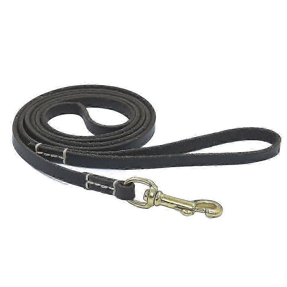 Leather Carrier Leash compatible with Dogs