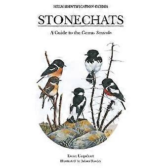 Stonechats