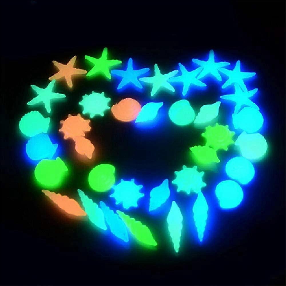 Sun-Powered Glow Shell Decor Stones