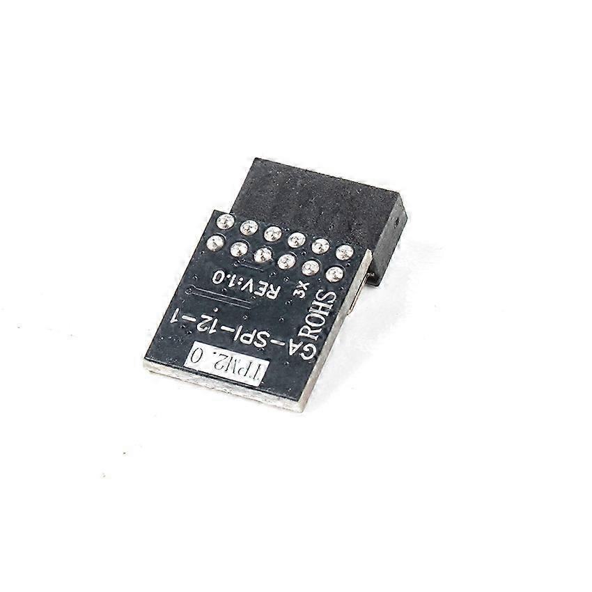 SPI Module TPM 2.0 Module SPI-TPM Module TPM Module for ASUS (Gigabyte 12)