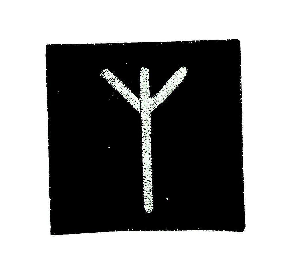 Patch Ecusson Brode Thermocollant Viking Odin Witchcraft Rune Alphabet Elk