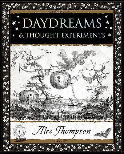 Daydreams by Alec Thompson Paperback Book