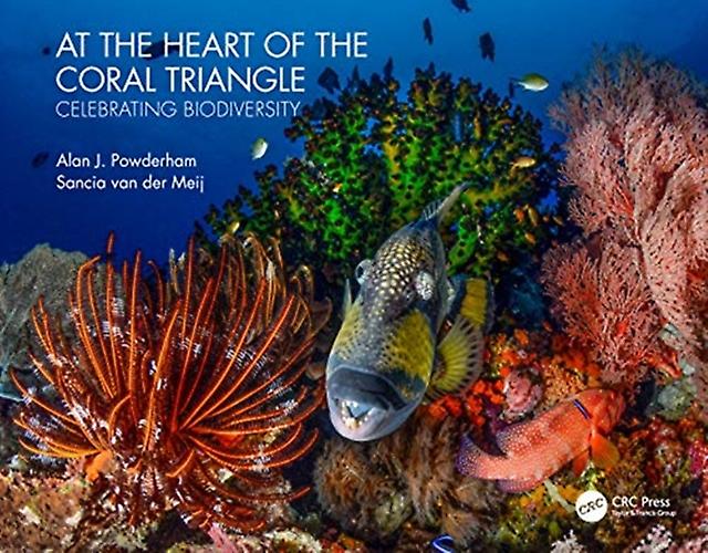 At The Heart Of The Coral Triangle by Sancia van der Meij Hardback Book