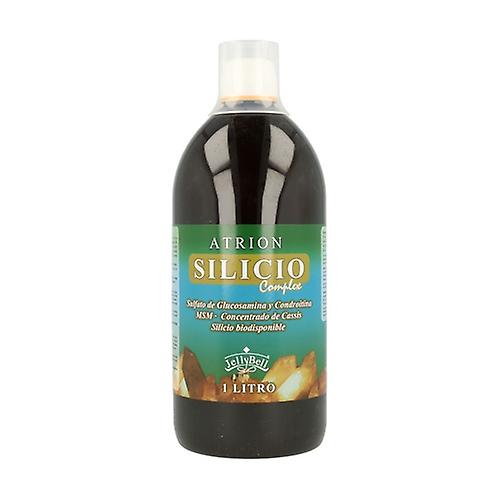 Atrion Silicon Complex 1 L
