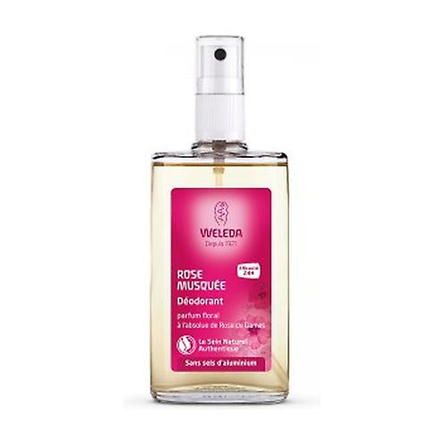 Rose deodorant 100 ml (Rosehip)