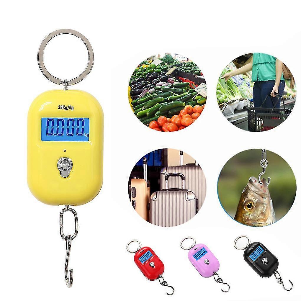 Digital Hanging Scale 25kg X 5g Mini Electronic Luggage Hook Scale Lcd Backlight Kitchen Tool